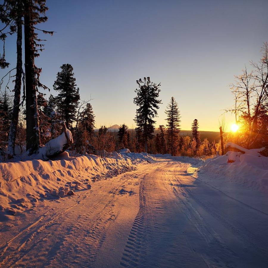 Зимний поход на гору Шудья-Пендыш