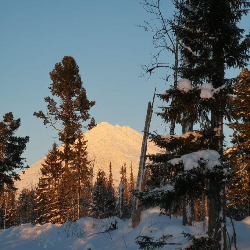 Зимний поход на гору Шудья-Пендыш