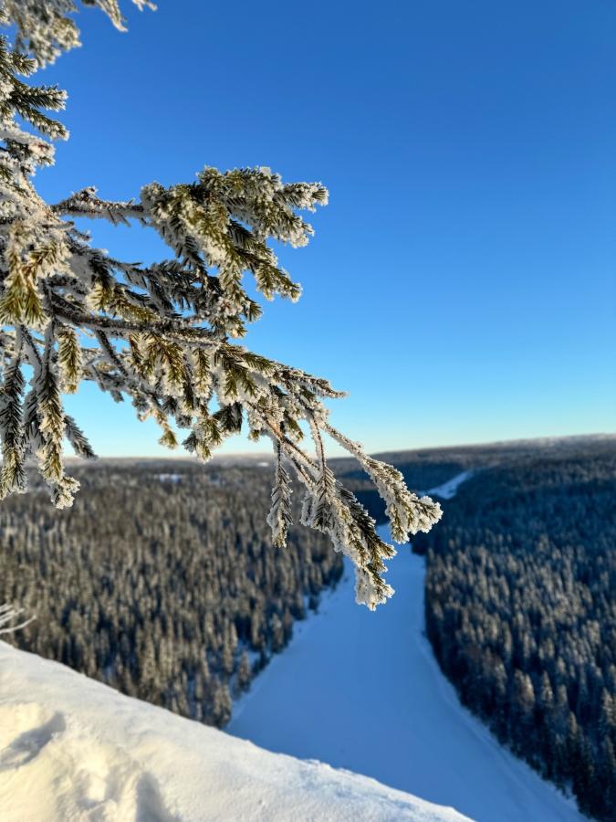 Приключение на Восток земли Пермской: Усьвинские столбы на снегоходах (в санях) + Каменный город + гора Крестовая