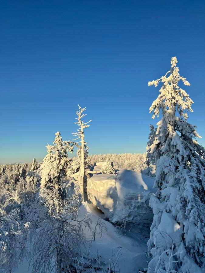 Усьвинские столбы на снегоходах и Каменный город
