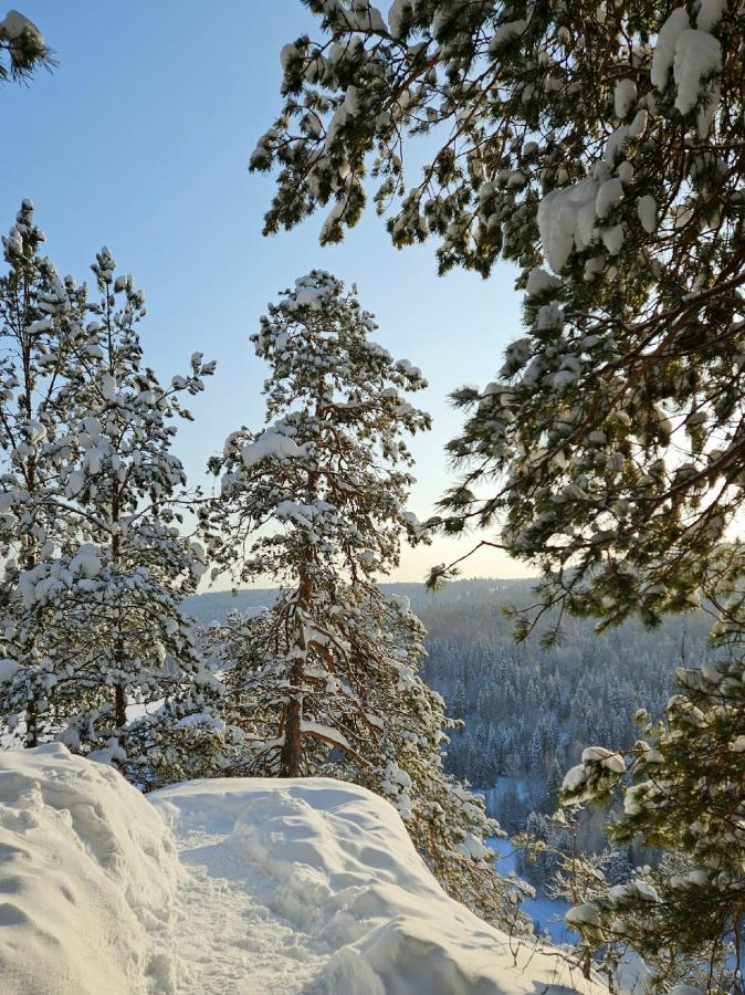 Усть-Койва: "Путешествие по долине реки Чусовая" на снегоходах (в санях), Мельничный ручей и камень Красный