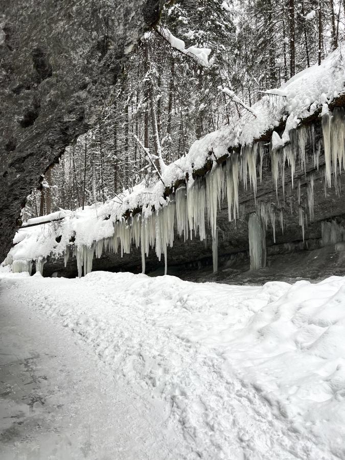 Усть-Койва: "Путешествие по долине реки Чусовая" на снегоходах (в санях), Мельничный ручей и камень Красный