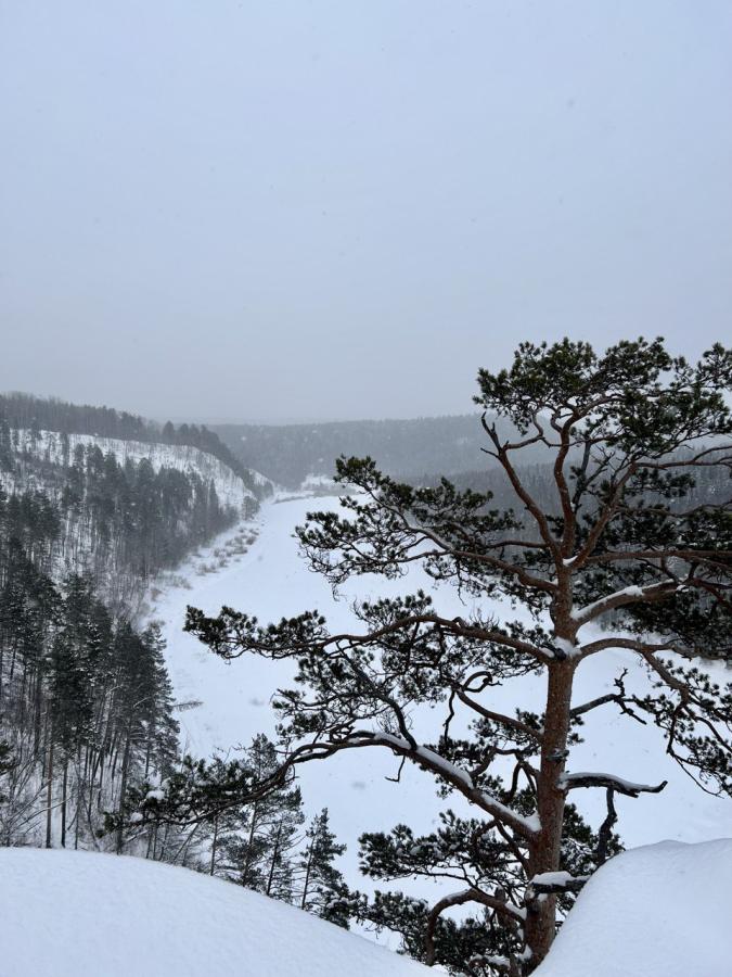 Усть-Койва: "Путешествие по долине реки Чусовая" на снегоходах (в санях), Мельничный ручей и камень Красный