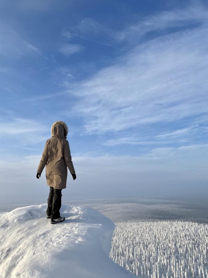 Экскурсия к зимнему Полюду на снегоходах (в санях)