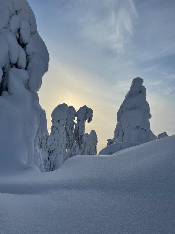 Экскурсия к зимнему Полюду на снегоходах (в санях)