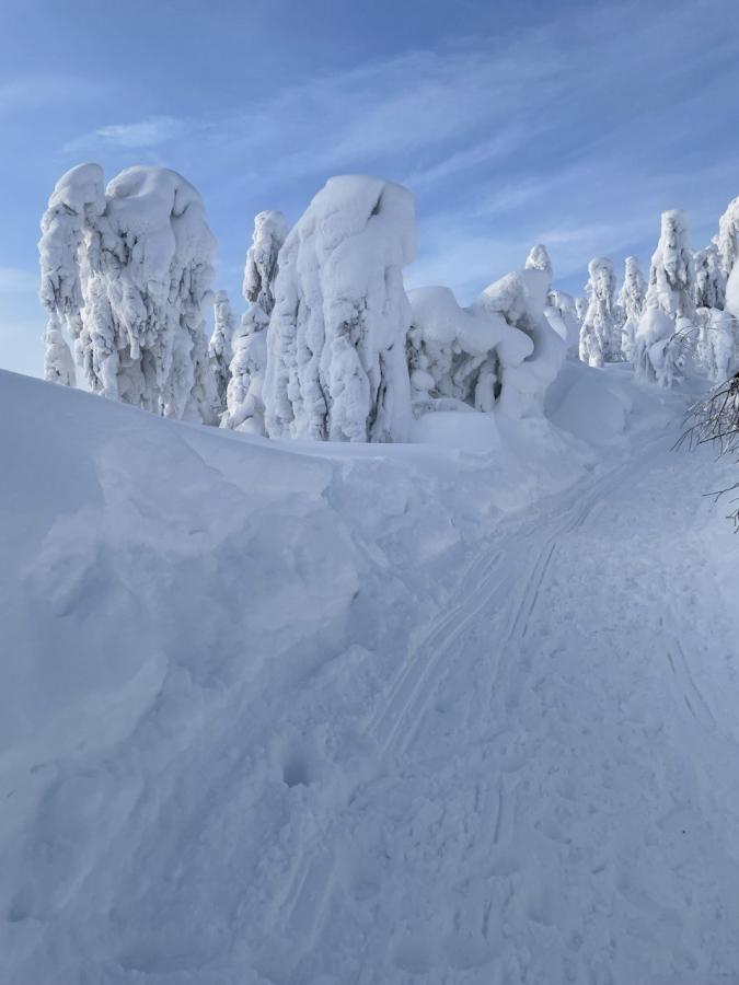 Экскурсия к зимнему Полюду на снегоходах (в санях)