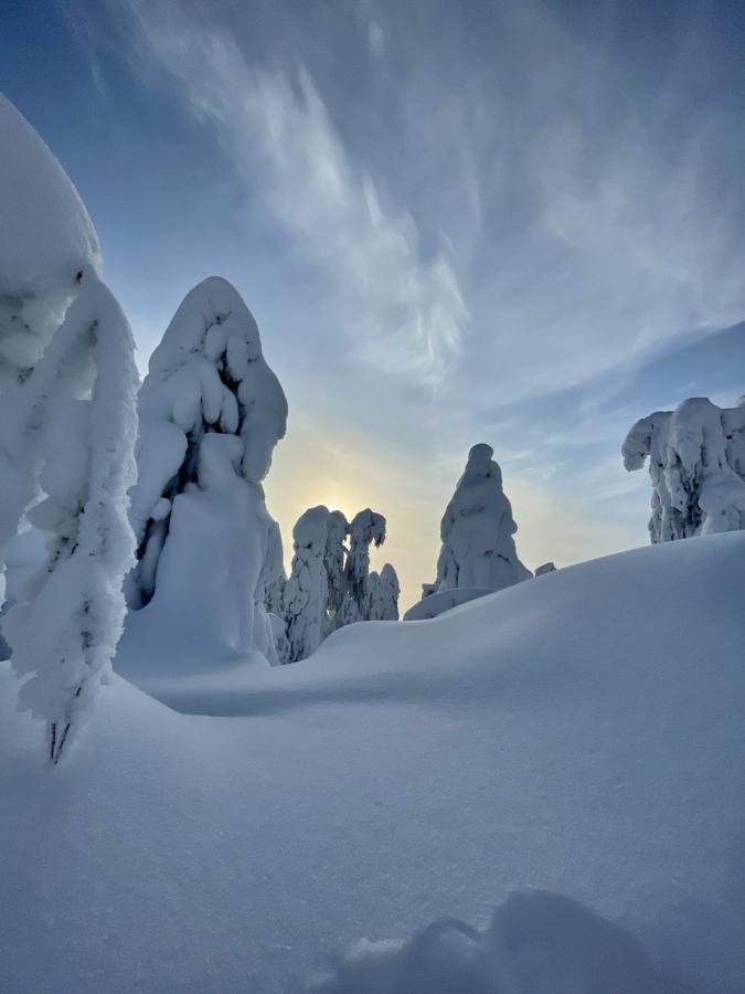 Экскурсия к зимнему Полюду на снегоходах (в санях)