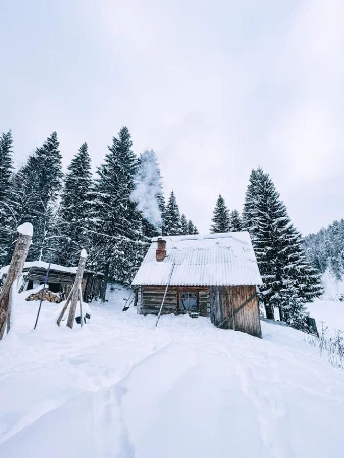 Кын "Уральская Швейцария и Царь-Бойцы" с ЖД и снегоходами (в санях)
