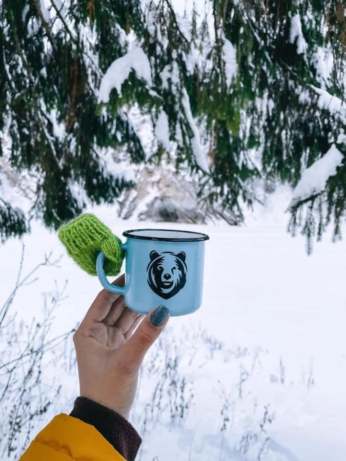 Кын "Уральская Швейцария и Царь-Бойцы" с ЖД и снегоходами (в санях)