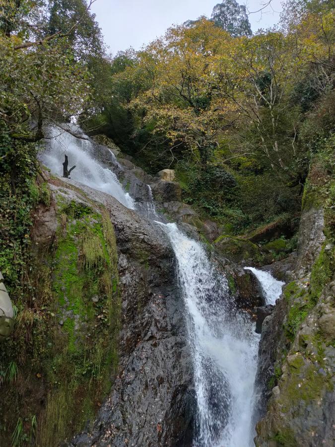 «Волшебная Грузия: путешествие сквозь века»