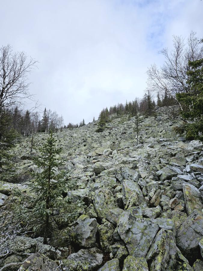 НП «Зюраткуль». Гора Уван, дом лося «Сохатка», Порожская ГЭС.