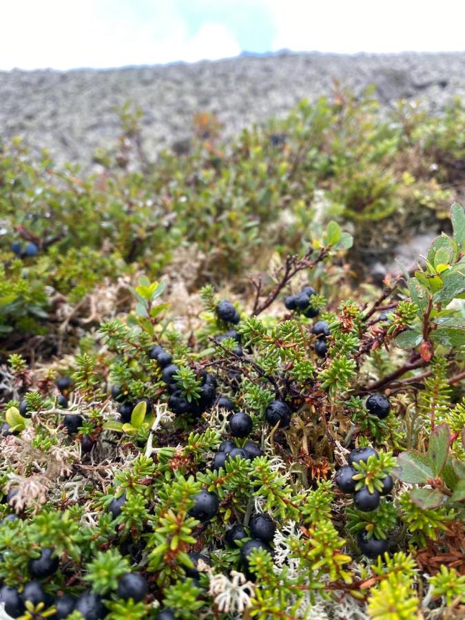 Активный тур на водопады реки Жигалан и плато Кваркуш, с палатками!