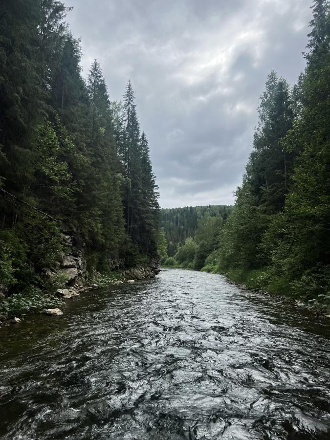 Сплав по реке Койва от п.Кусье-Александровский до пос.Усть-Койва