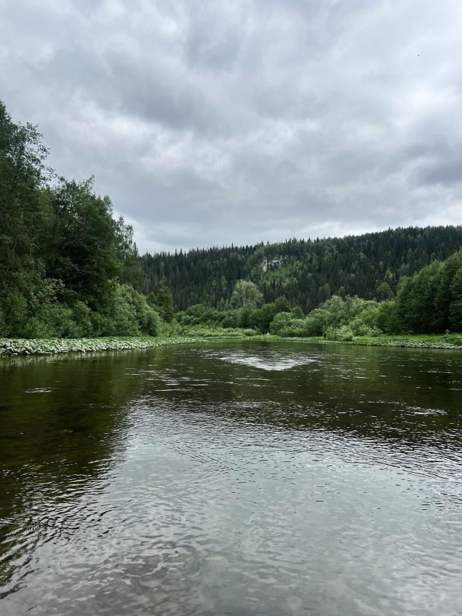 Сплав по реке Койва от п.Кусье-Александровский до пос.Усть-Койва
