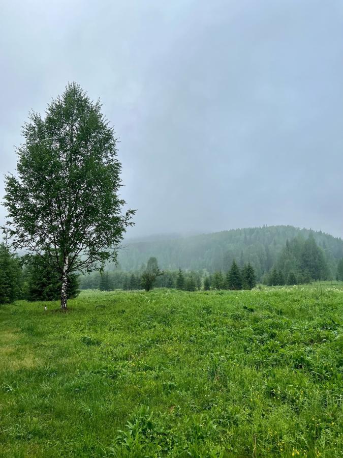 Сплав по реке Усьва от п.Усьва до п.Мыс и Каменный город