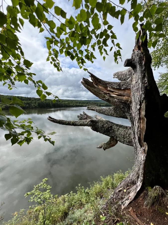 Сплав по реке Вишера от п.Вишерогорск до гор. Красновишерск