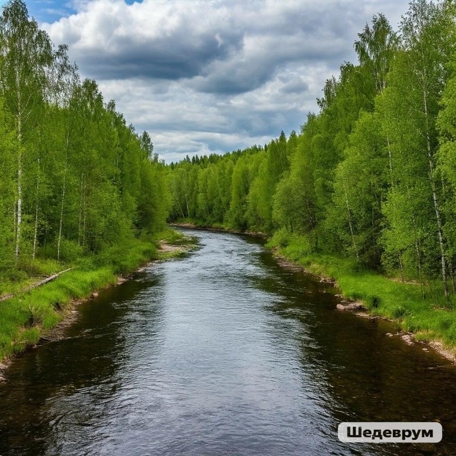 Однодневный сплав на сапбордах по реке Бабка от п. Курашимский до п. Ергач.